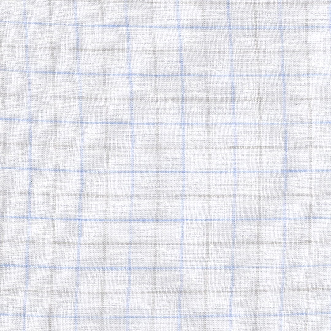 White/ Blue Check